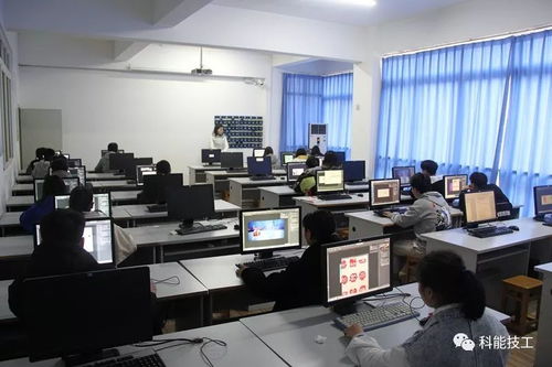 技能点亮未来，服务铸就梦想——现代服务系技能竞赛月活动圆满落幕